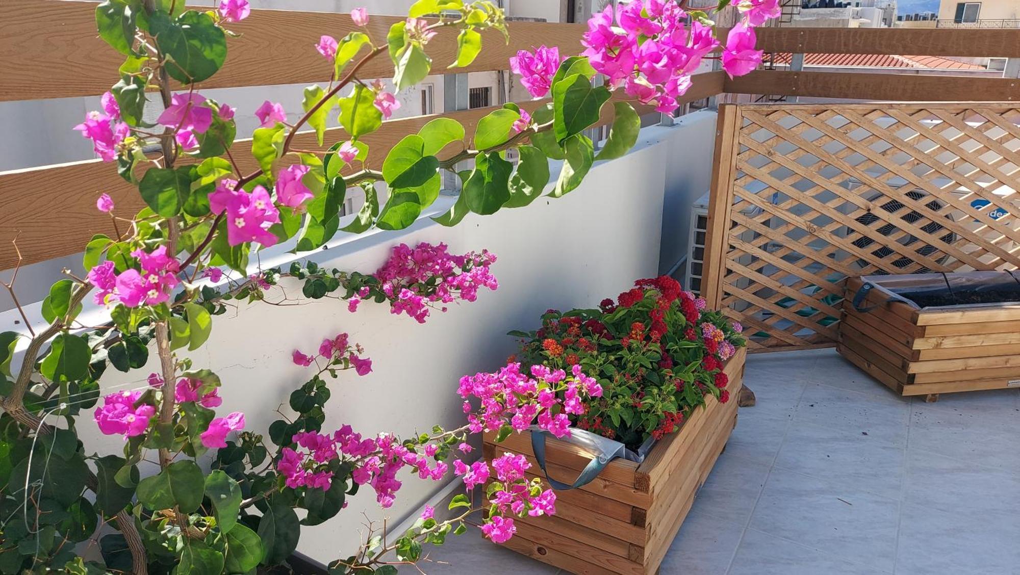 The Blue Apartment In The Heart Of Heraklion Exteriér fotografie